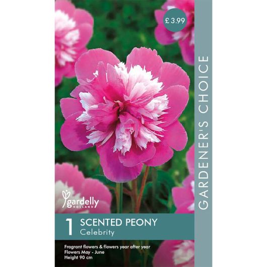 Gardelly Scented Peony Celebrity